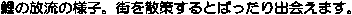 ̗̕lqBXU􂷂Ƃ΂o܂B